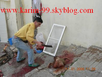 drari  ktchowat ryos